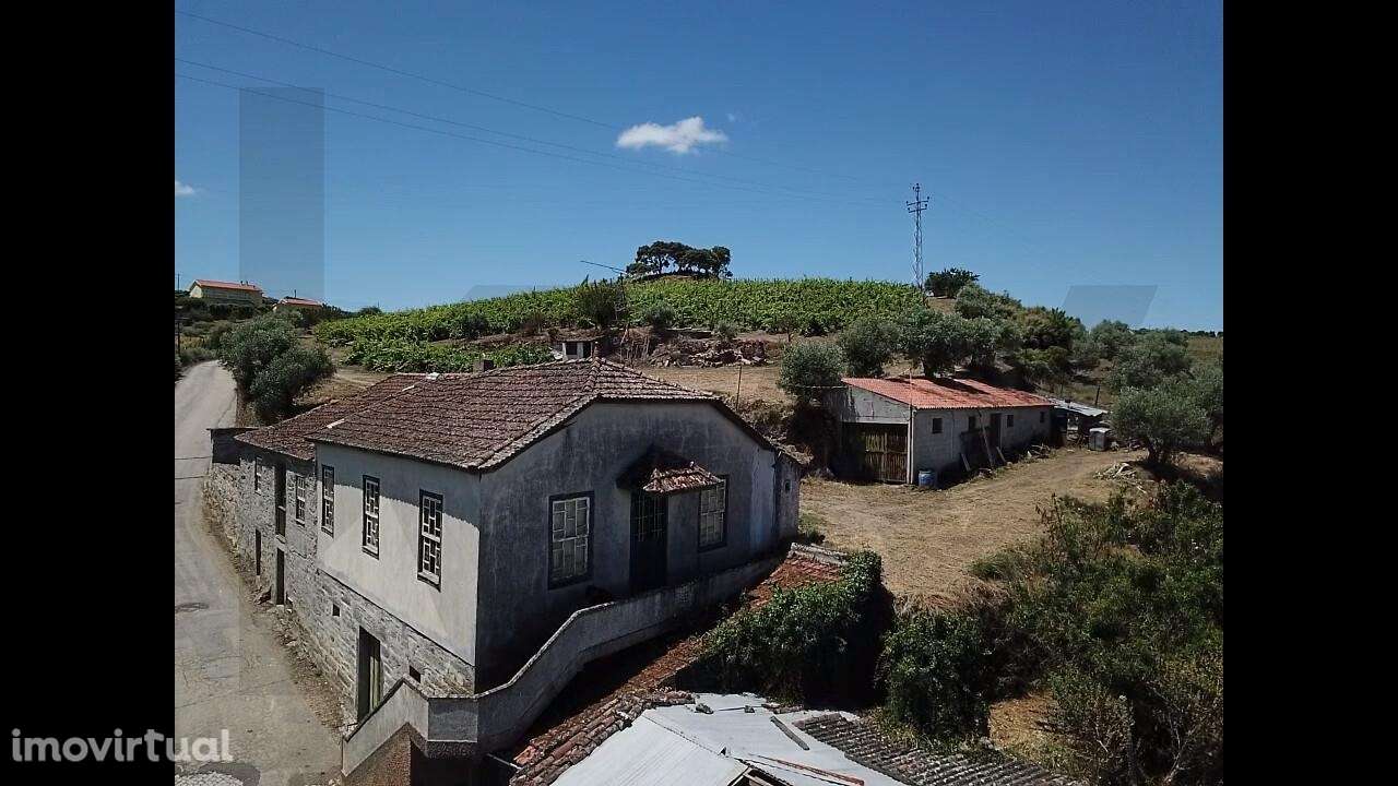 Venda Quinta/Herdade de 280m2,Para recuperar em São João da Pesqueira, - Grande imagem: 4/27