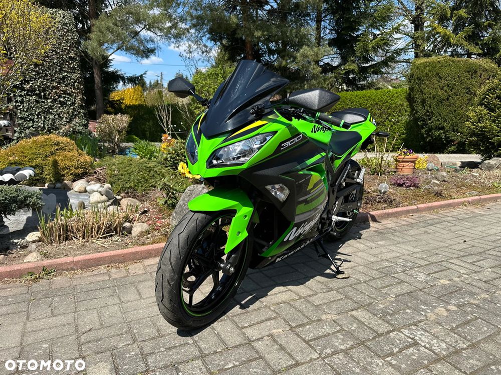 Kawasaki Ninja 300 ABS - 8