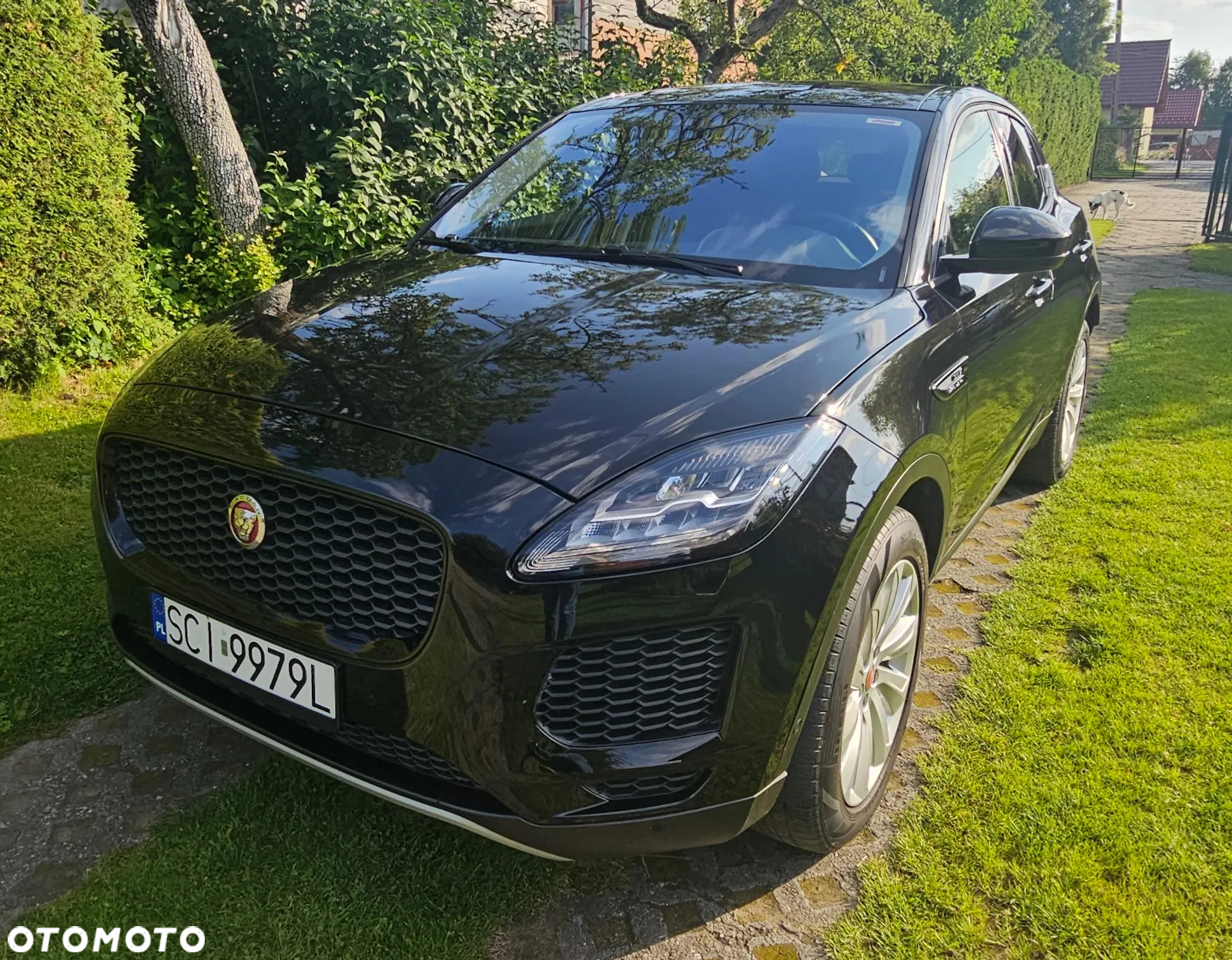 Jaguar E-Pace P250 AWD - 4