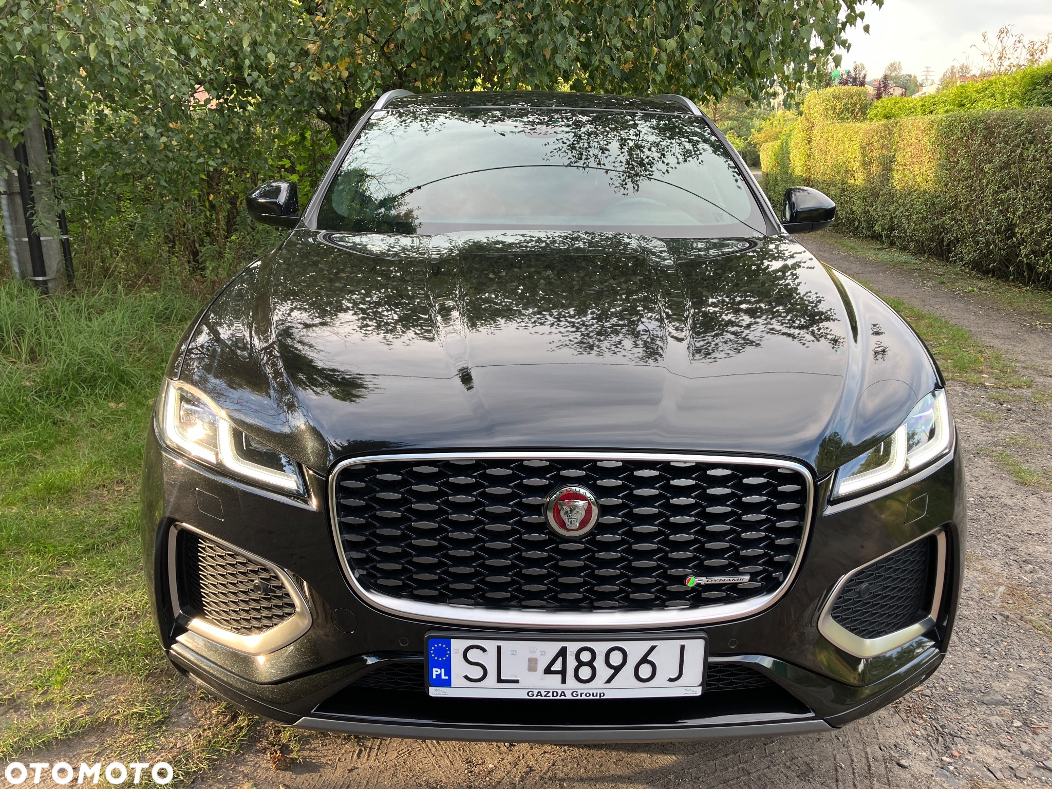 Jaguar F-Pace D200 AWD R-Dynamic SE 90th Anniversary Edition - 2