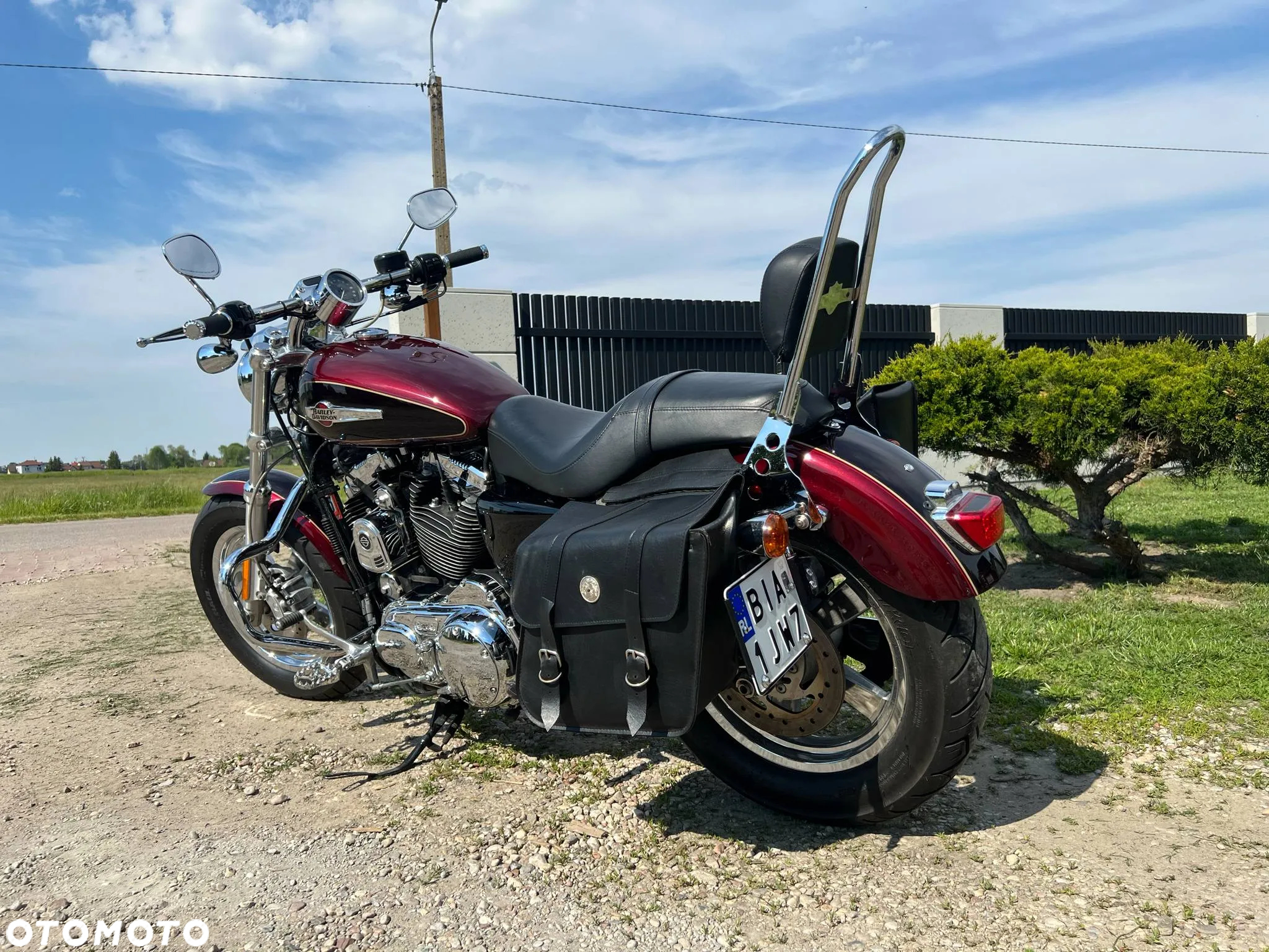 Harley-Davidson Sportster Custom 1200C - 11