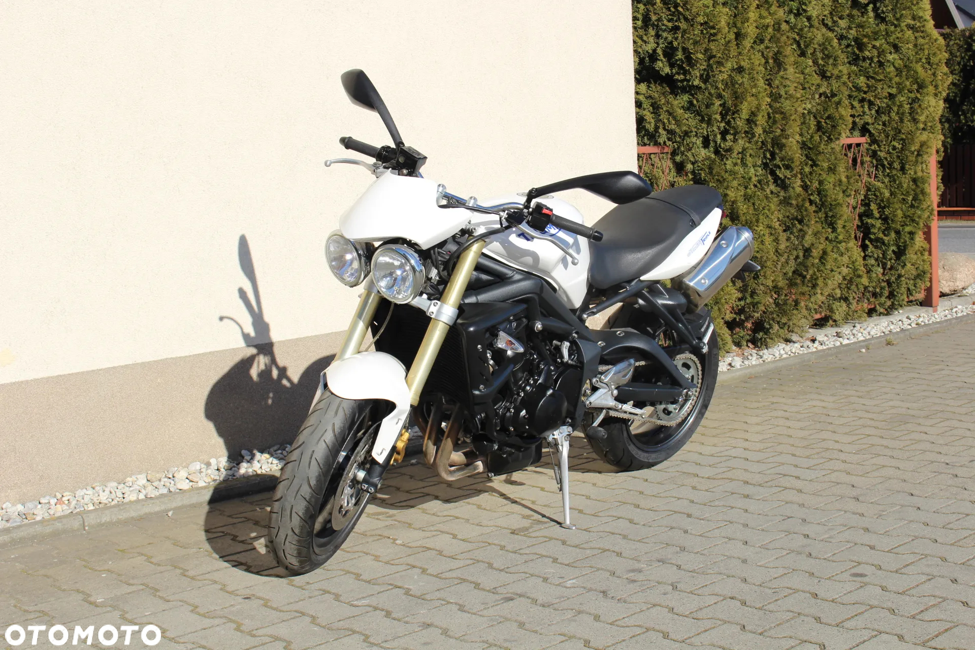 Triumph Speed Triple - 14