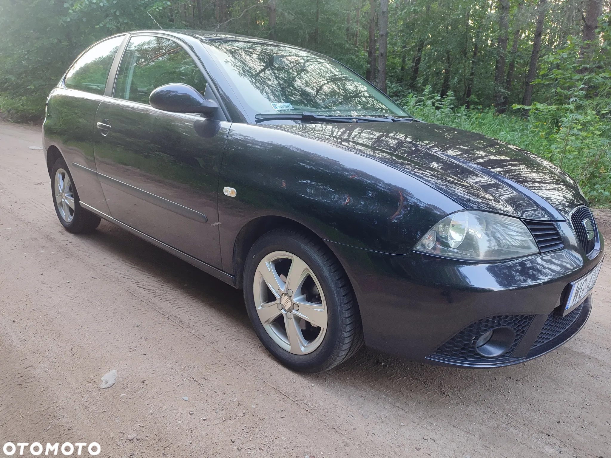 Seat Ibiza - 8