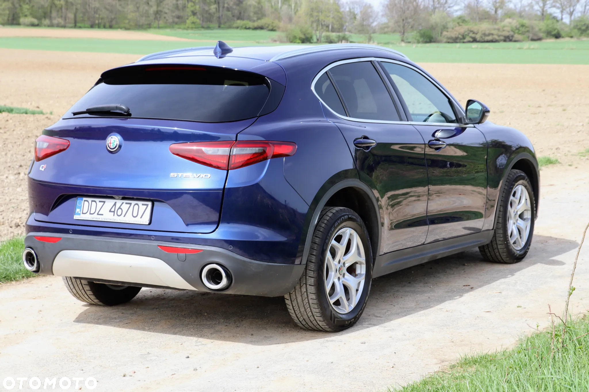 Alfa Romeo Stelvio 2.0 Turbo Executive Q4 - 6