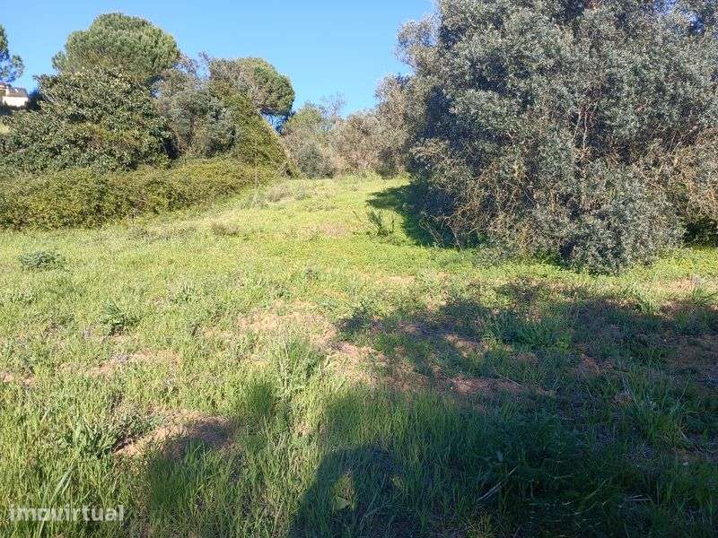 Quintinha , lote de terreno ,  monte , fazenda - Grande imagem: 4/8