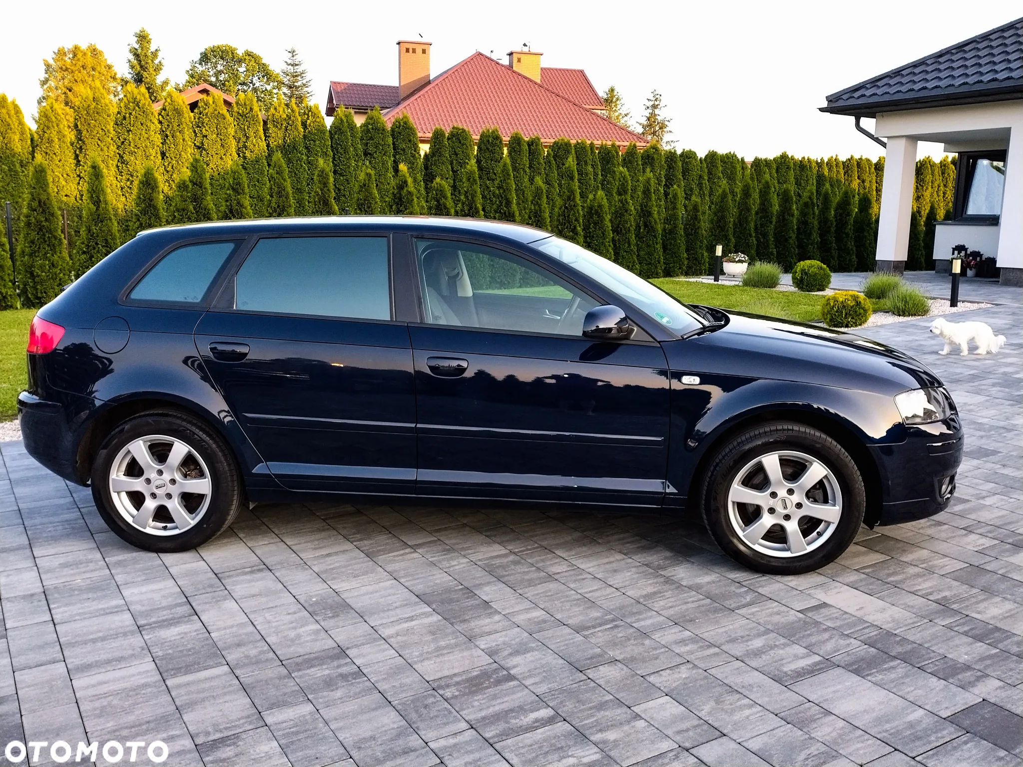 Audi A3 1.6 Ambition - 13