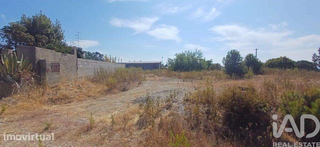 Terreno para construção em Castelo Branco - Grande imagem: 4/10