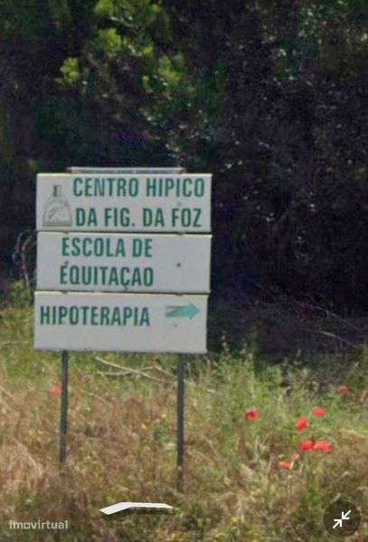 Terreno em Quiaios - Figueira da Foz - Grande imagem: 5/5