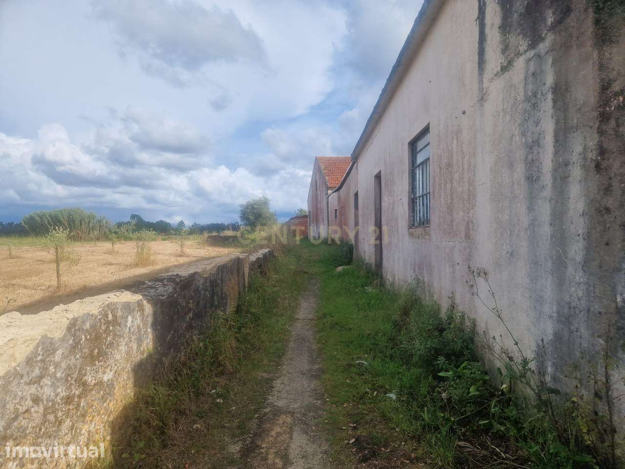 Terreno Urbano em Vagos - 3590m² - Grande imagem: 3/5