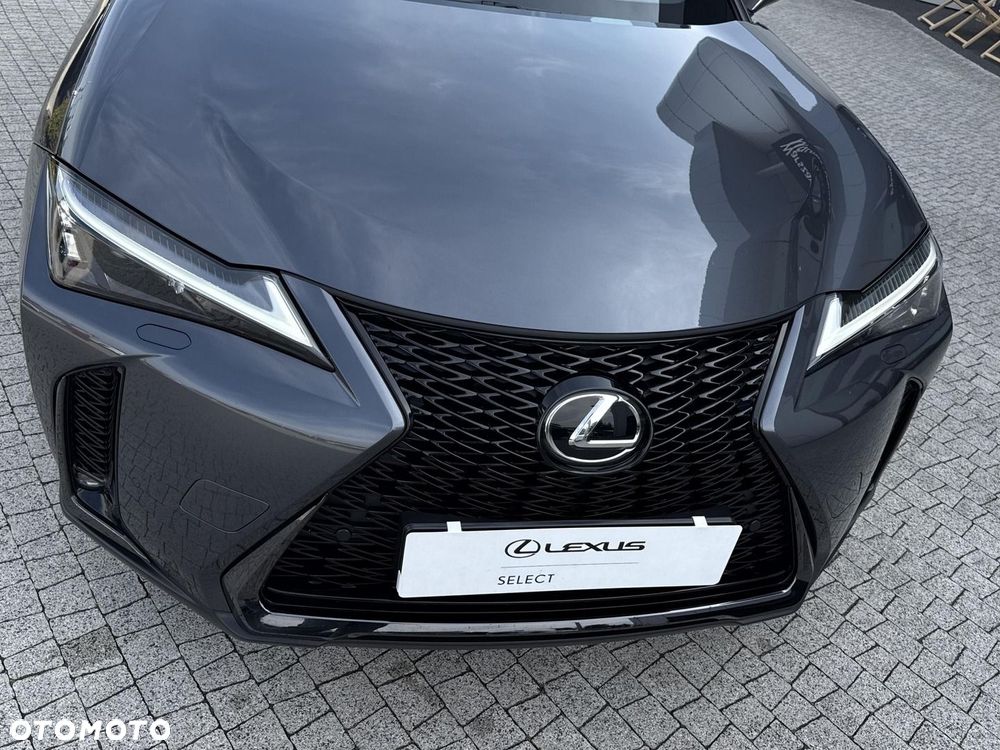 Lexus UX - 32