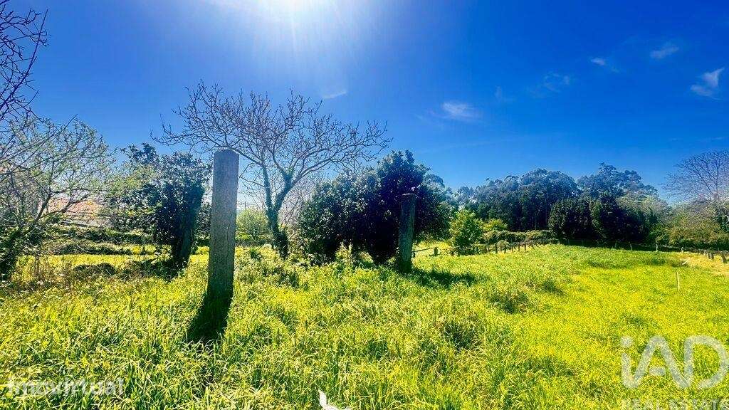 Terreno para construção em Santa Marta de Portuzelo - Grande imagem: 3/5