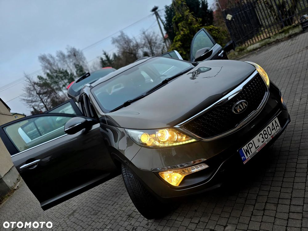 Kia Sportage - 14