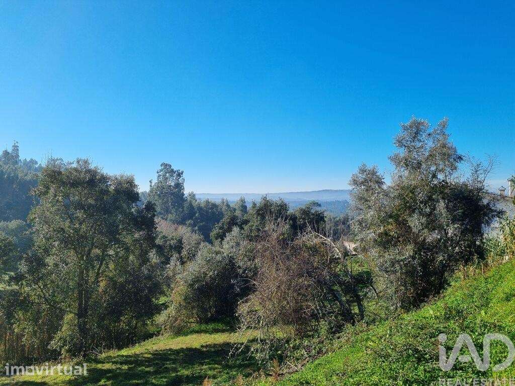 Terreno para construção em Poiares - Grande imagem: 4/40