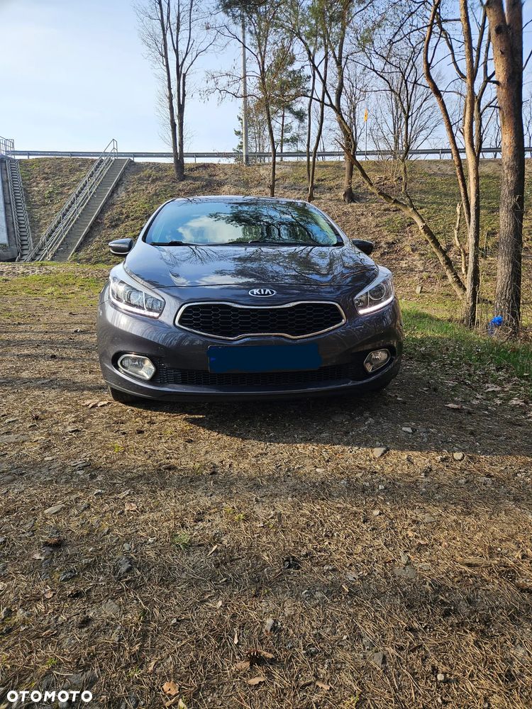 Kia Ceed 1.4 CVVT Fifa World Cup Edition - 13