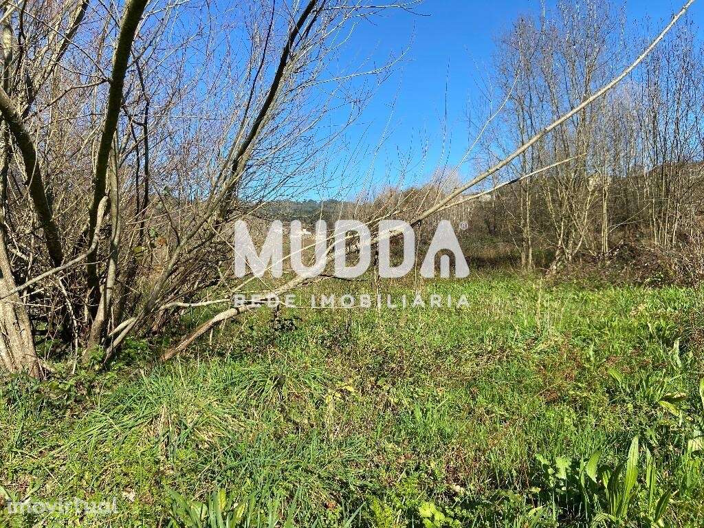 Terreno Plano de 700m2 - Grande imagem: 5/16