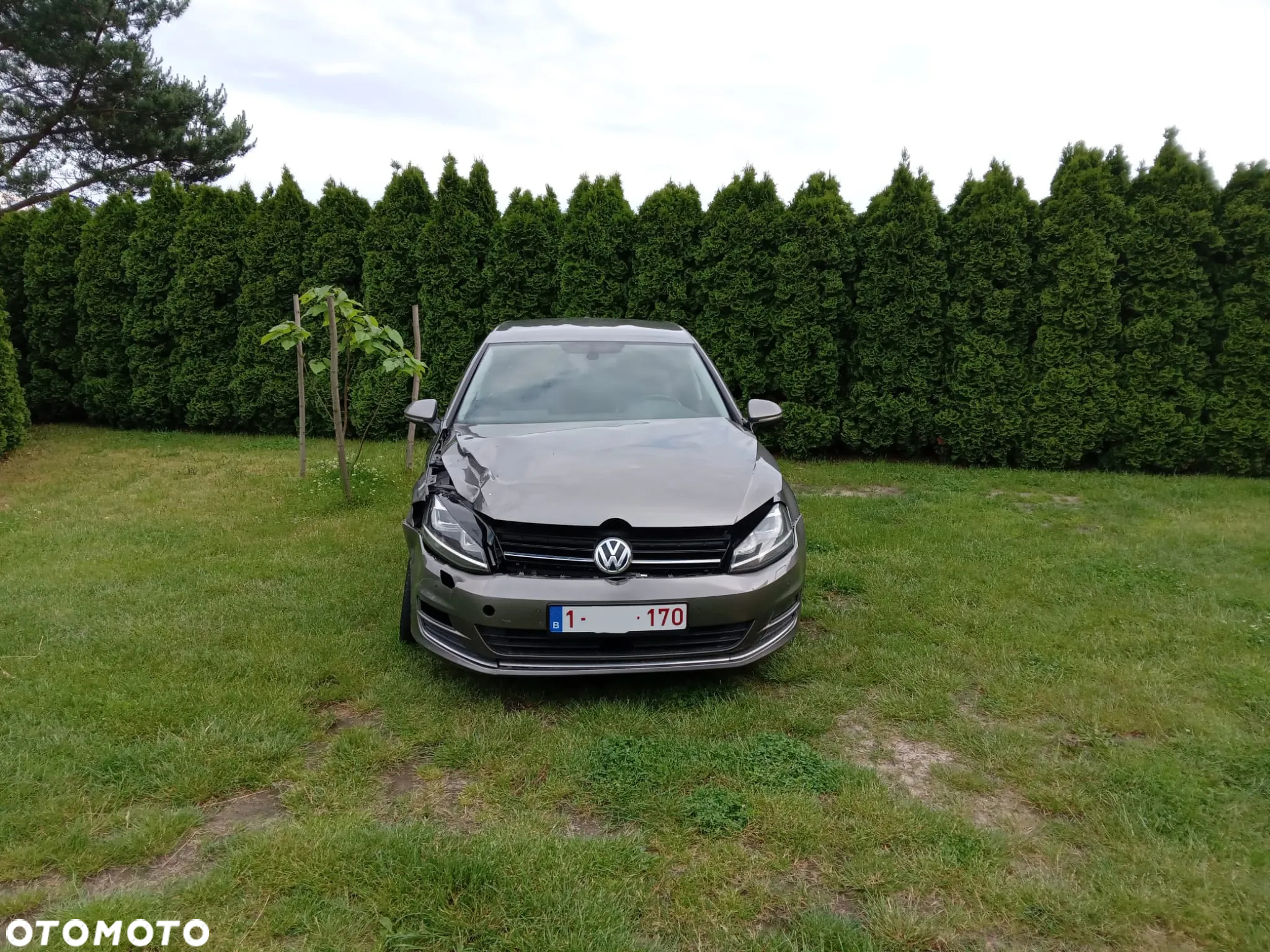 Volkswagen Golf VII 1.6 TDI BMT Highline DSG - 2