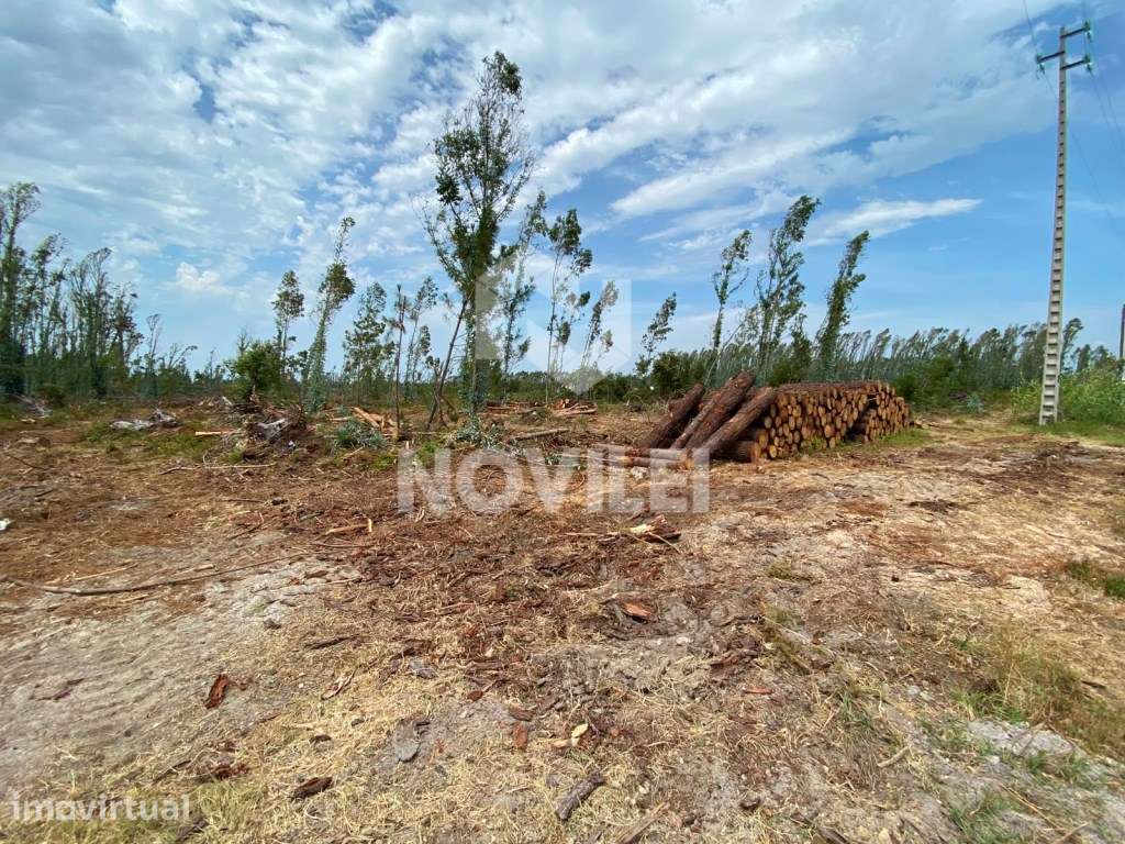 Terreno com 11000m² na Fonte Santa, próximo do centro da Marinha Gr... - Grande imagem: 3/7