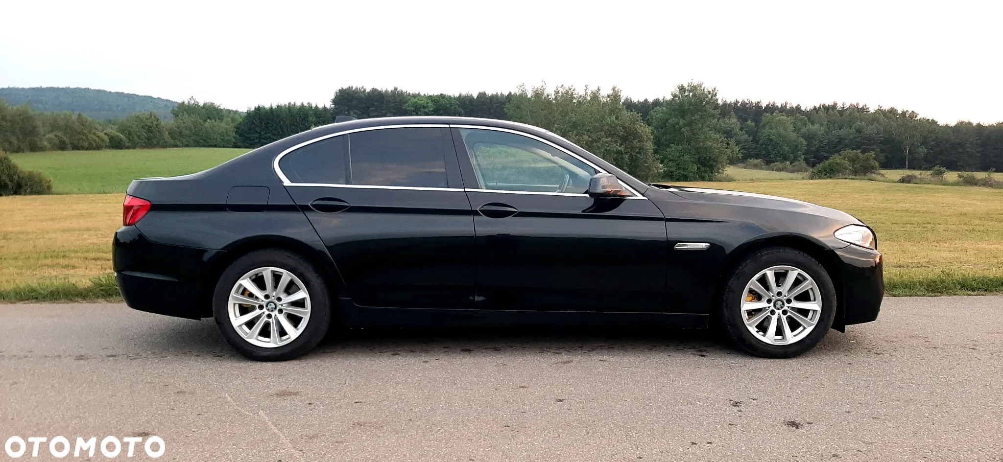 BMW Seria 5 520d Luxury Line - 2