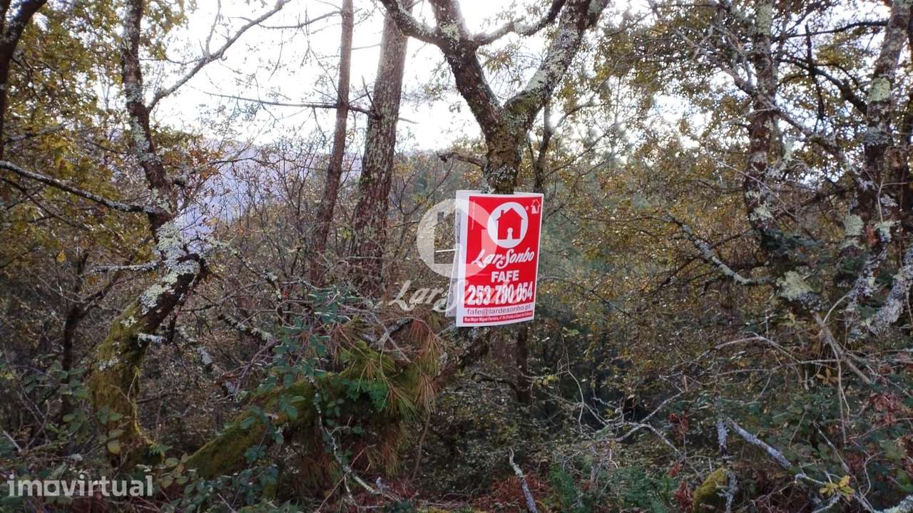 Terreno para Venda no Parque Natural do Gerês - Ideal para Plantaçã... - Grande imagem: 2/9