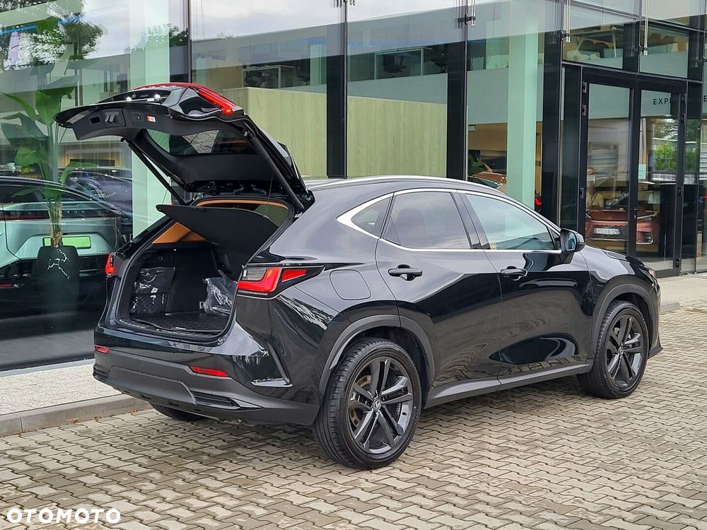 Lexus NX - 39