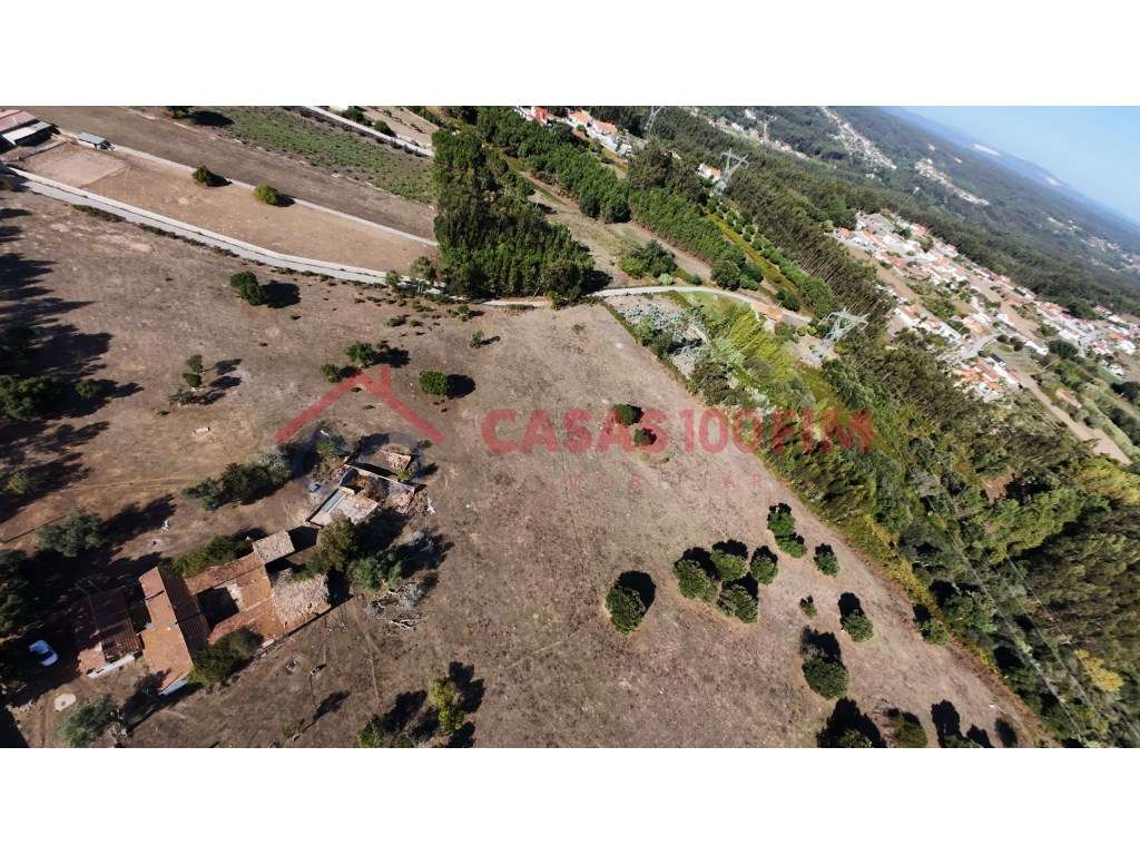 Terreno 161.000 m² com 2 ha urbanizáveis - Souto da Carpalhosa - Grande imagem: 2/6