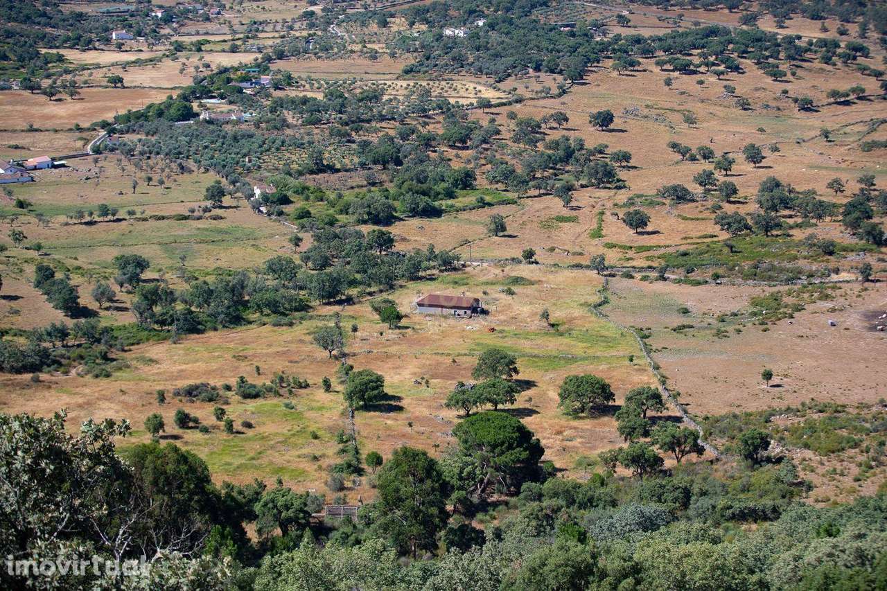Quinta com 2,5 hectares em Portalegre - Grande imagem: 5/9