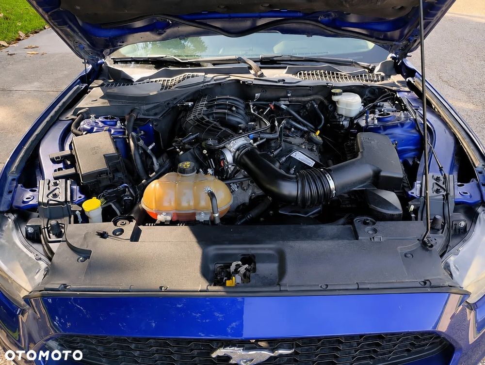 Ford Mustang 3.7 V6 - 11