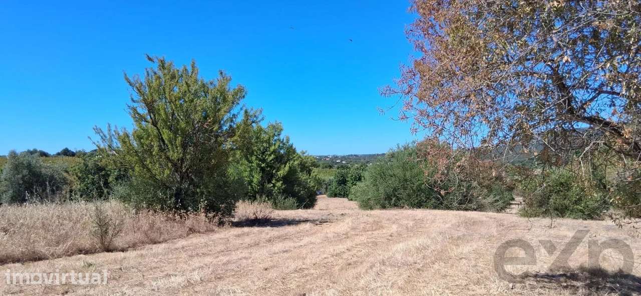 Terreno para Desenvolvimento Urbanístico – Estiramantens, Tavira - Grande imagem: 5/8