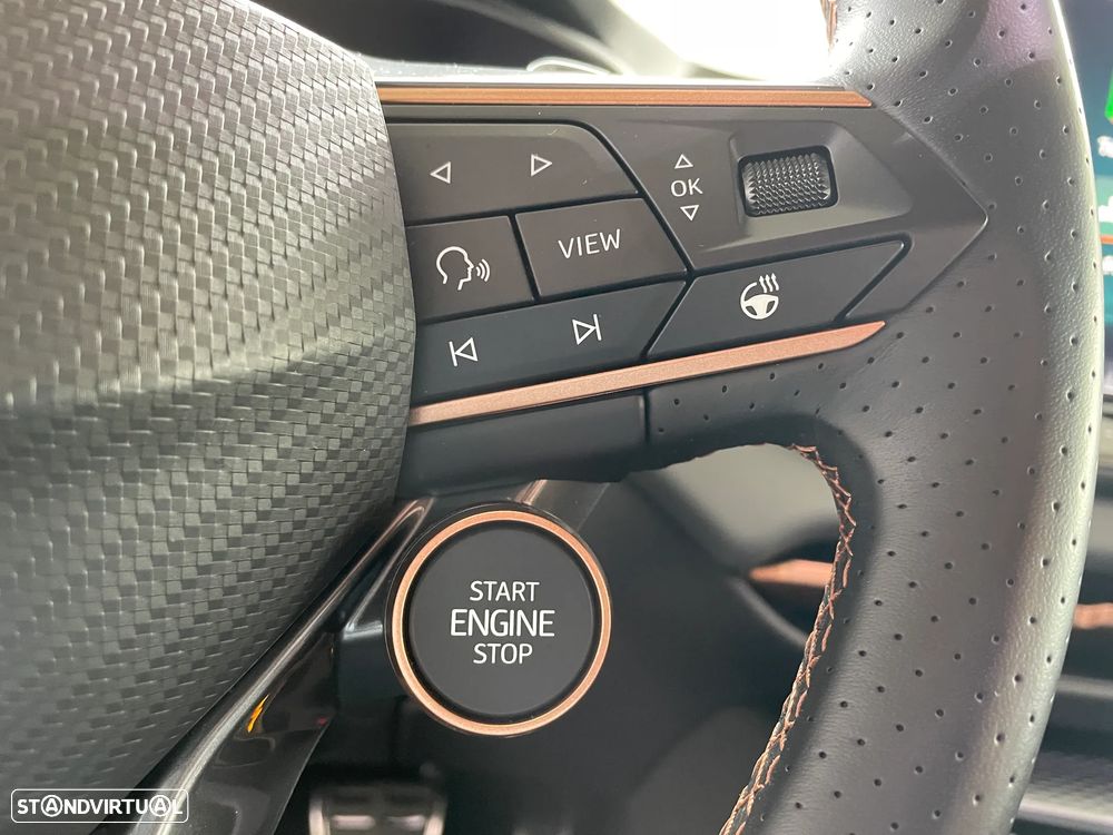 Cupra Terramar 1.5 eTSI Tribe Edition DSG - 47