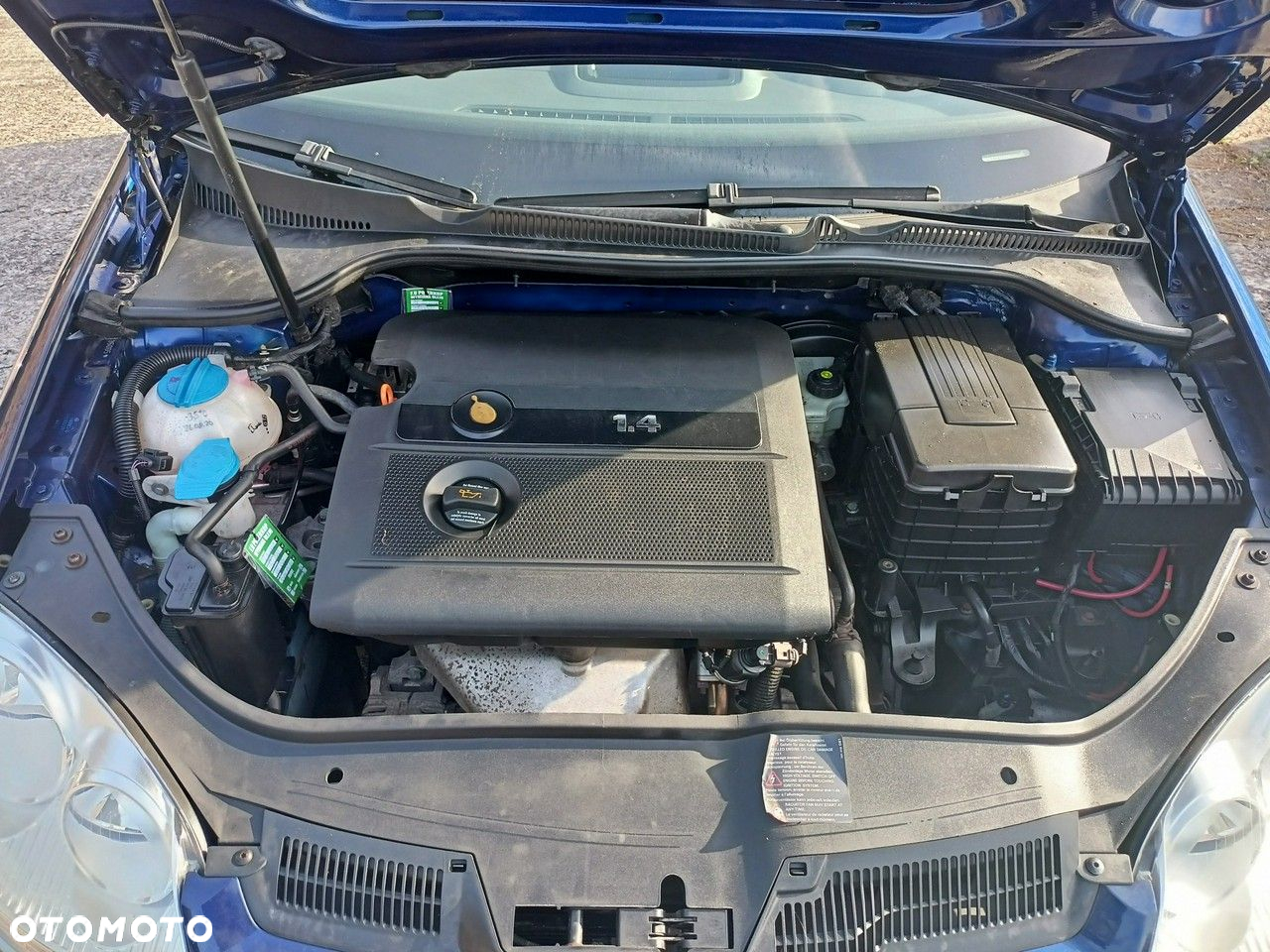 Volkswagen Golf - 21