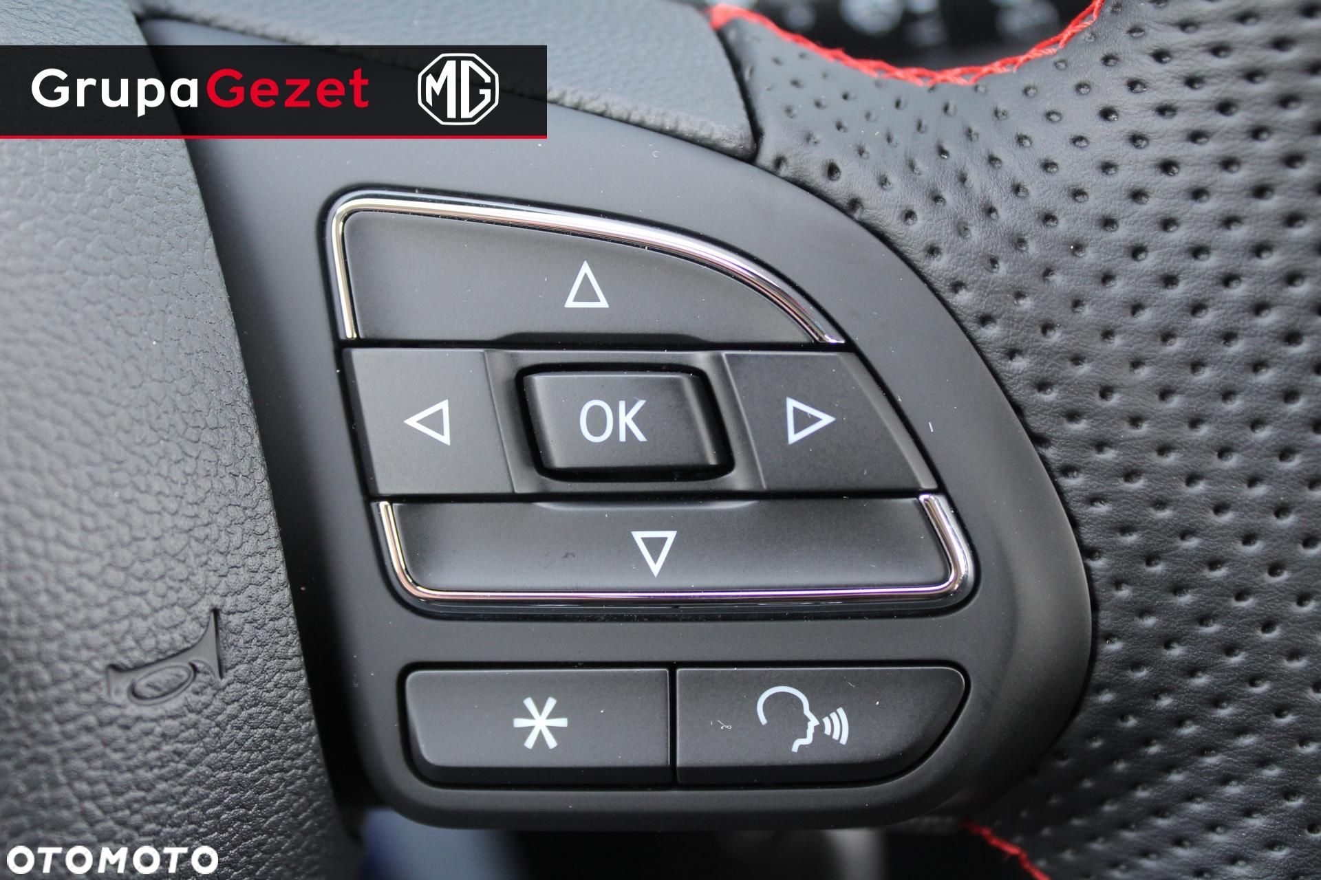 MG ZS - 13