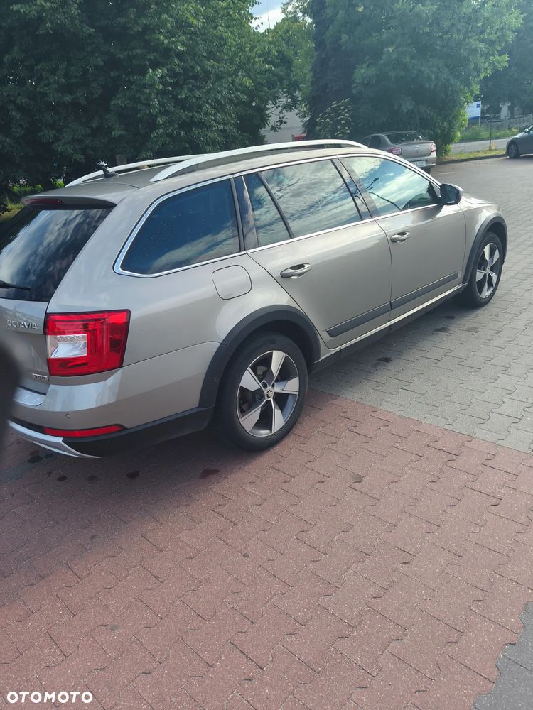 Skoda Octavia Scout 2.0 TDI 4x4 DSG - 28