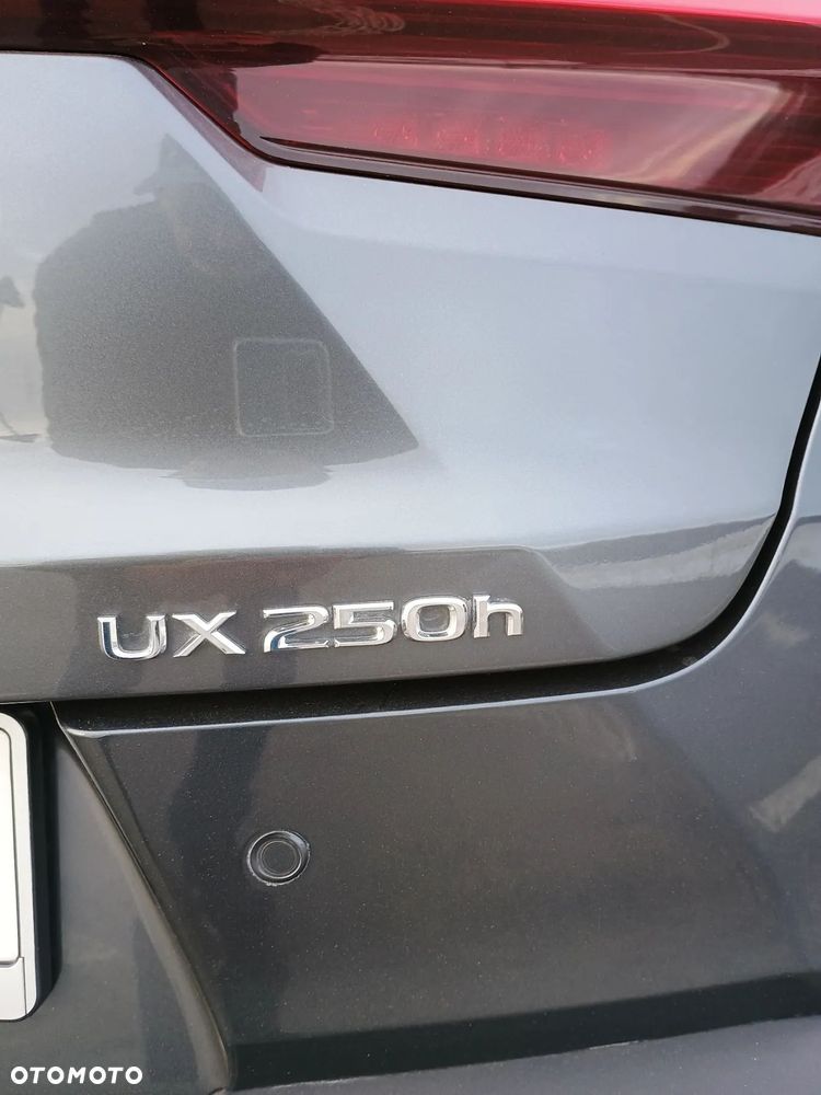 Lexus UX 250h GPF Business Edition 2WD - 12
