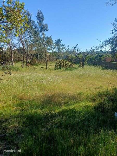 Terreno para moradia unifamiliar - Grande imagem: 2/4