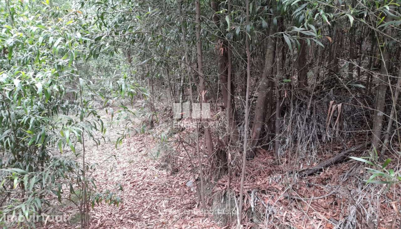 Venda Terreno, Vila Cova, Penafiel - Grande imagem: 4/15