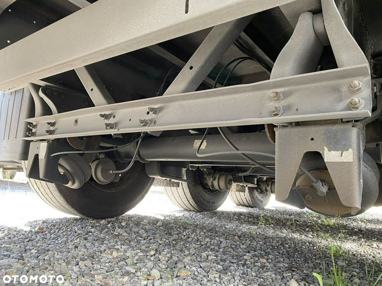Schmidt - 25