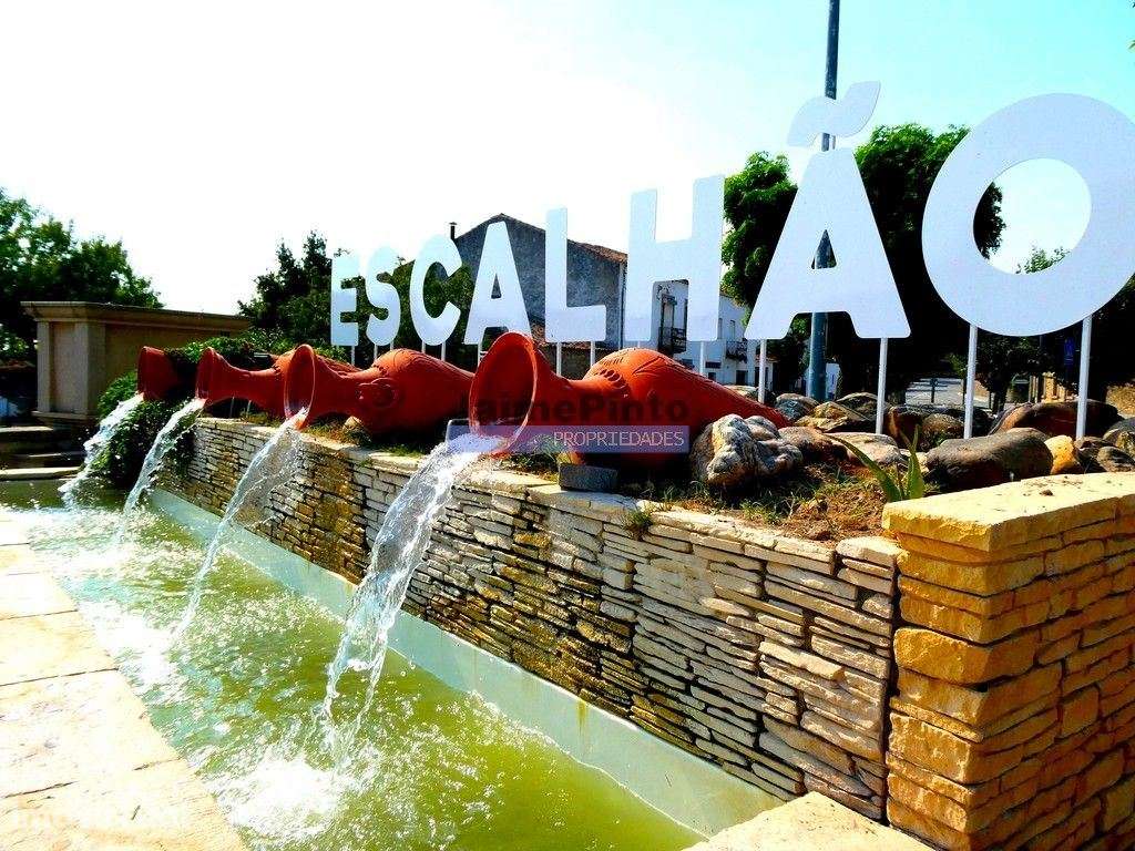 51.500m2 de TERRENO para agricultura. Portugal, Figueira de Castelo... - Grande imagem: 4/6