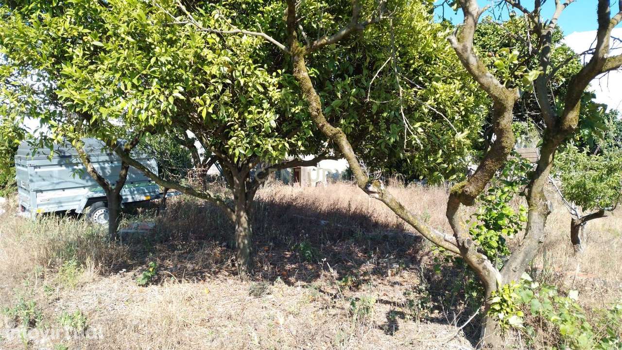 Terreno Rústico para Venda – Outeirinhos, Marinha Grande - Grande imagem: 3/4