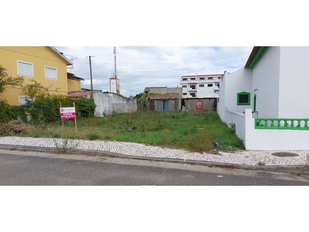 Terreno plano para construção em Vieira de Leiria - Grande imagem: 3/4