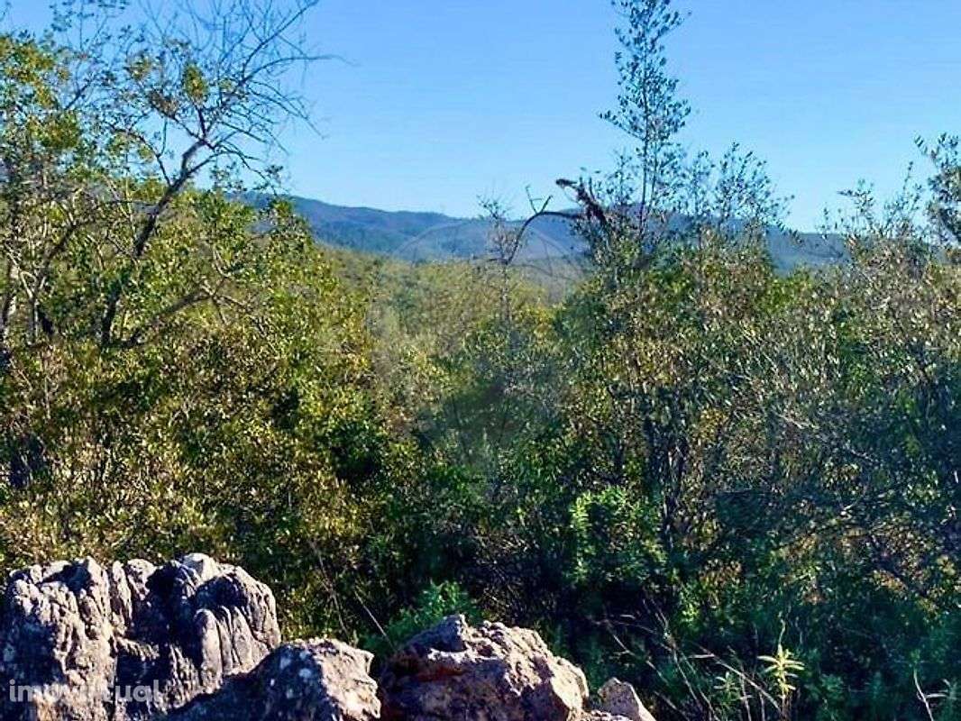 Terreno  para venda - Grande imagem: 4/9