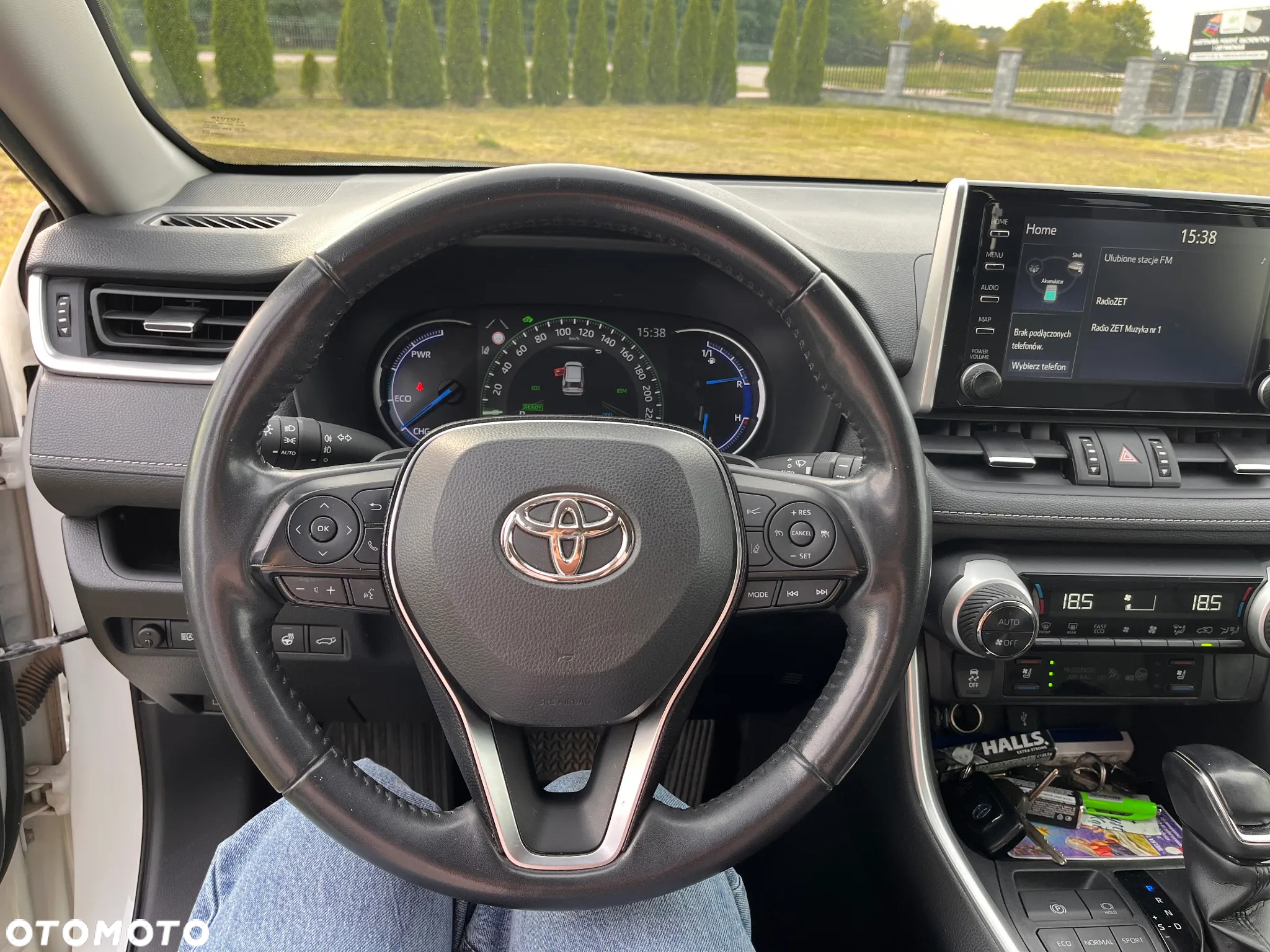 Toyota RAV4 2.5 Hybrid Executive 4x2 - 8