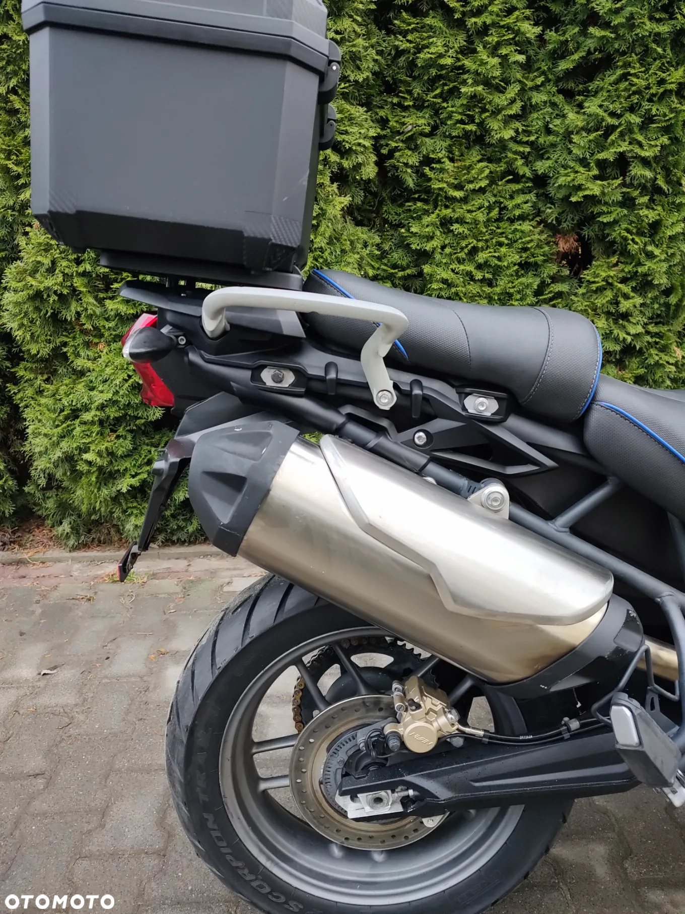 Triumph Tiger - 6