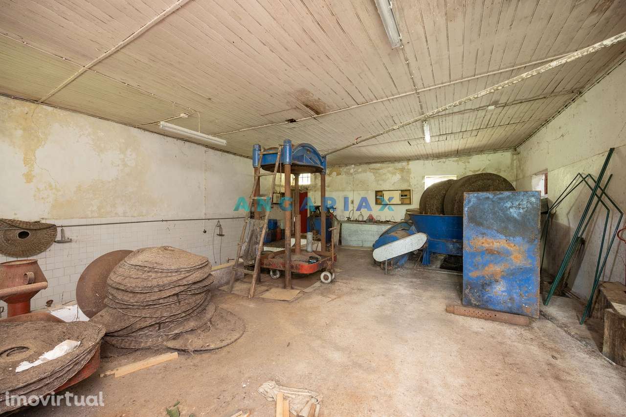 ANG1100 – Lagar para Venda em Alcaria, Porto de Mós - Grande imagem: 5/20