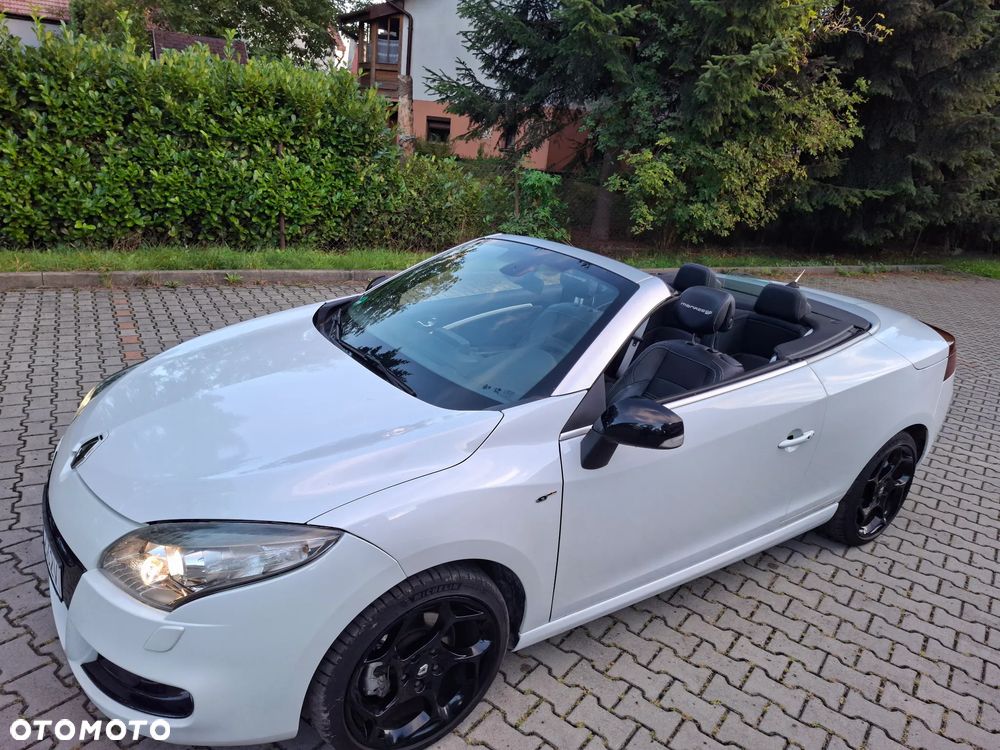 Renault Megane - 38