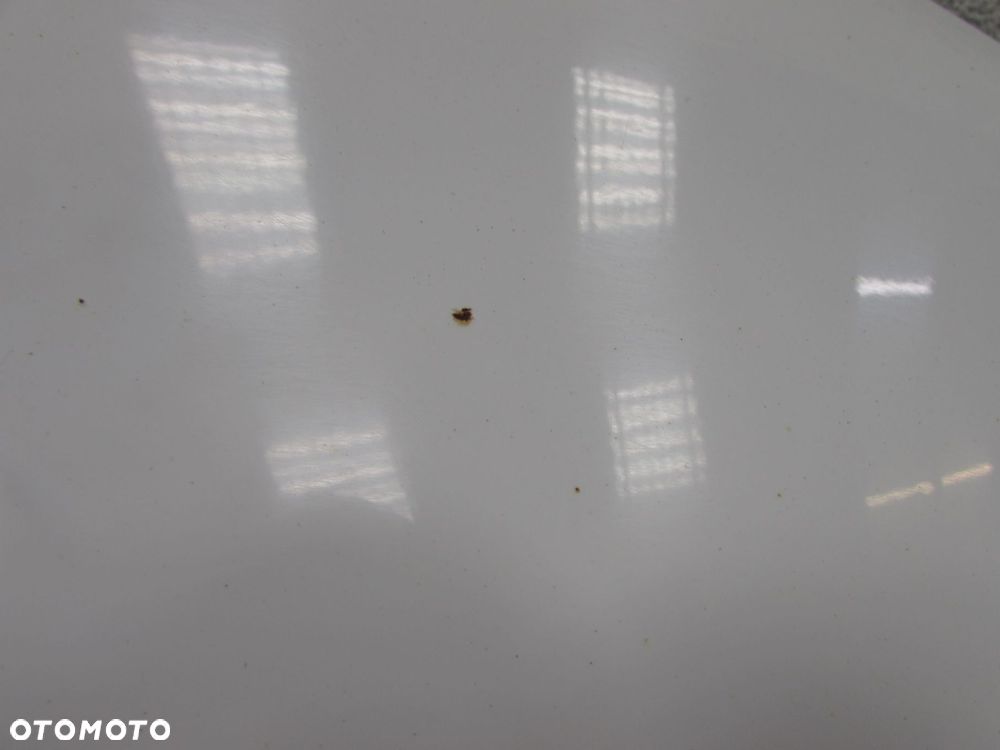 CITROEN C3 II 08-16 BLOTNIK PRAWY PRZOD EWPA BIALY - 5