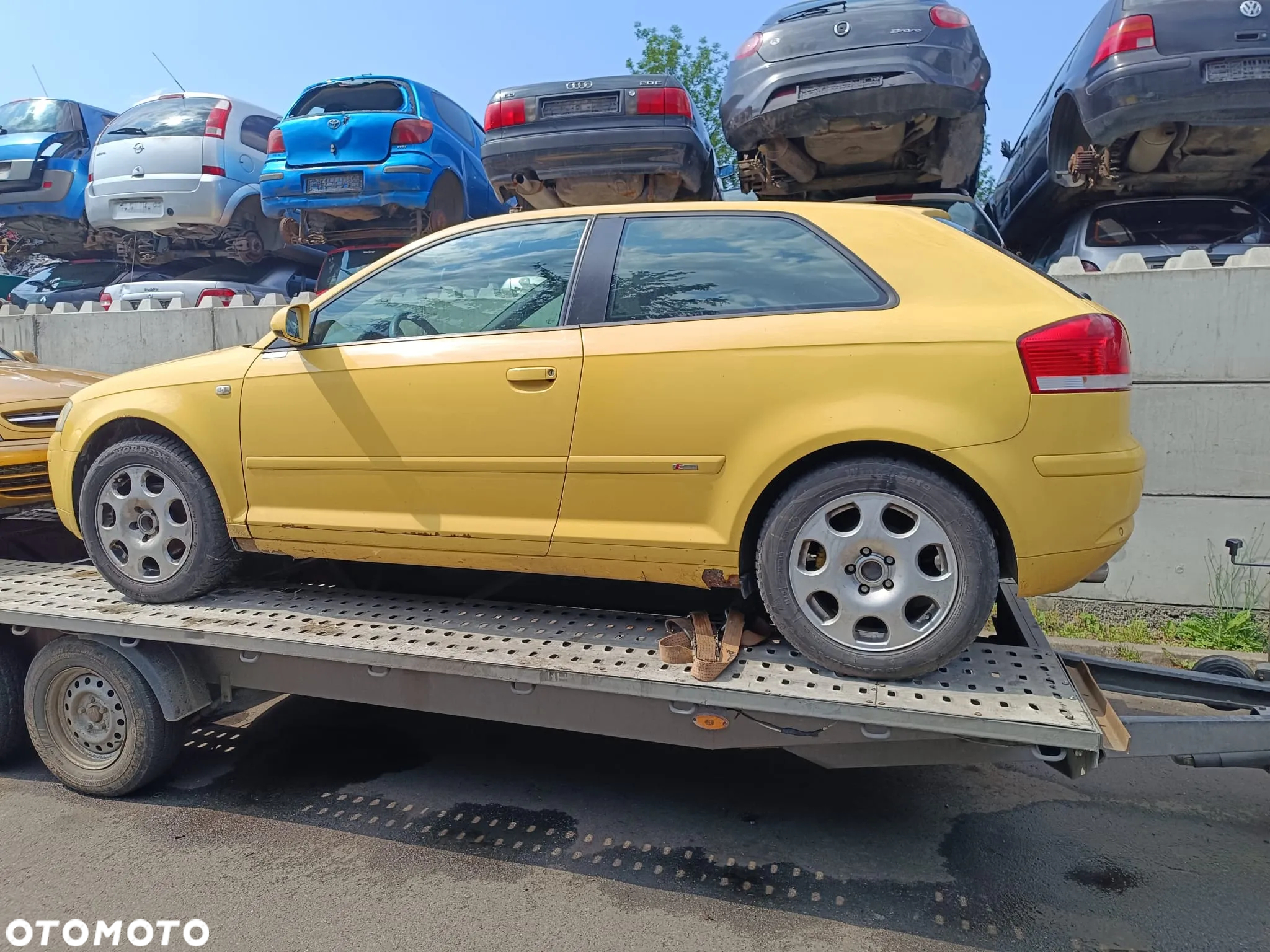 audi a3 8p w całosci na części - 5