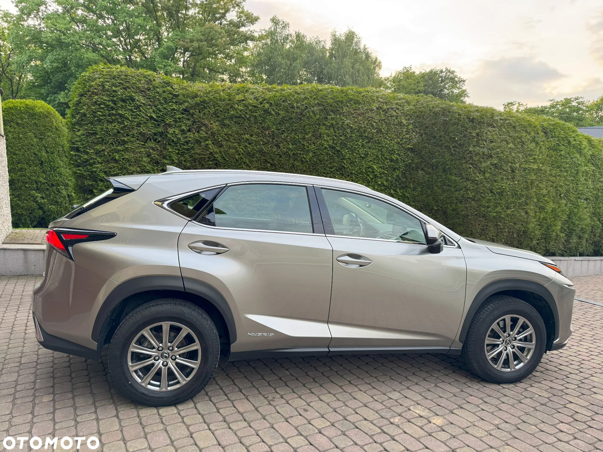 Lexus NX - 6