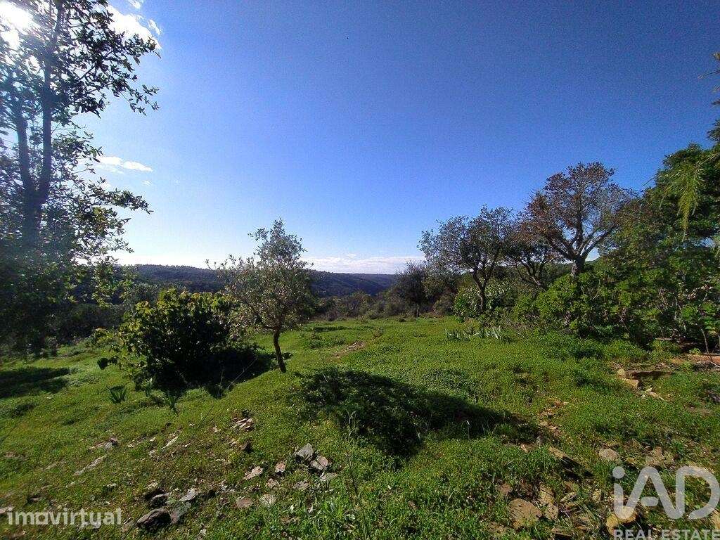 Quinta T3 em Bensafrim e Barão de São João de 137,00 m2 - Grande imagem: 4/30