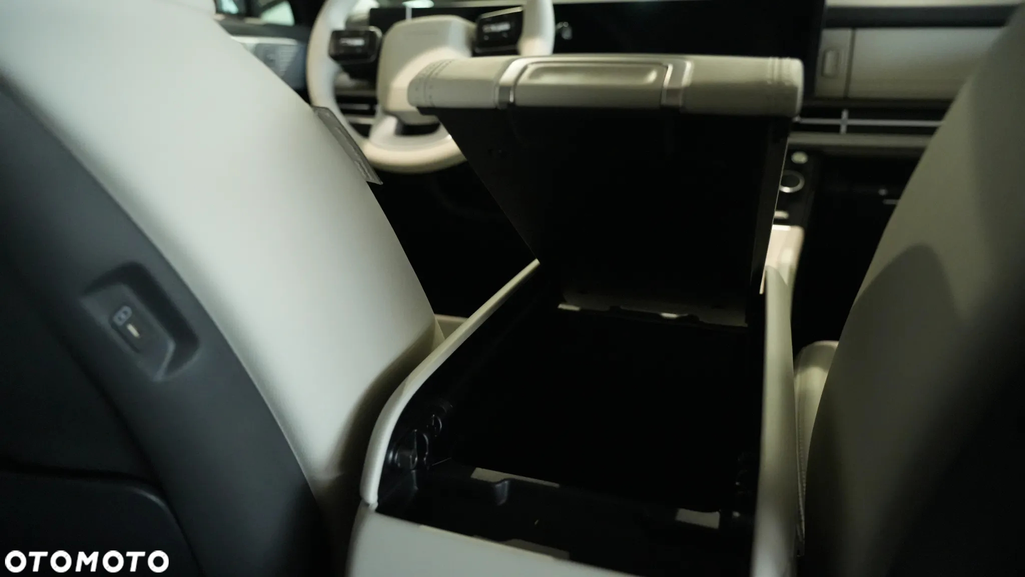 Hyundai Santa Fe - 18