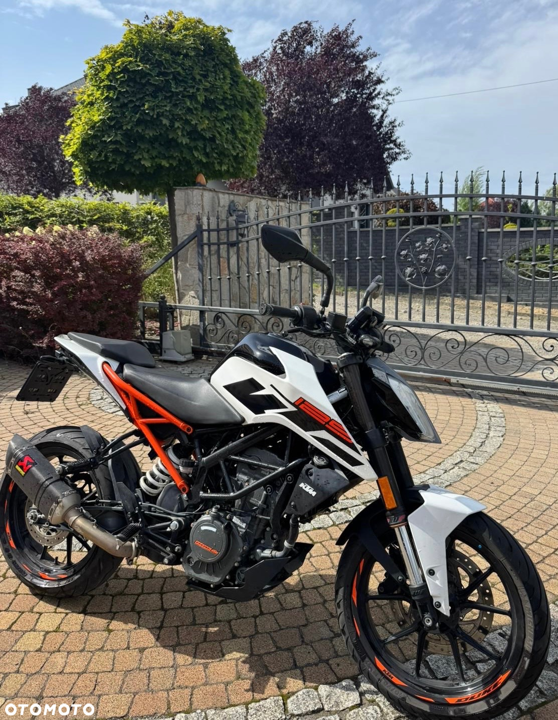 KTM Duke - 2
